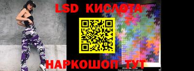 прущие грибы Сланцы