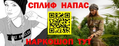 прущие грибы Сланцы