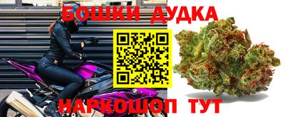 прущие грибы Сланцы