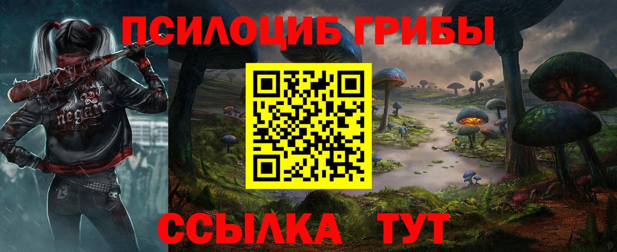 Пушкино  Псилоцибиновые грибы мицелий  Вход с VPN 