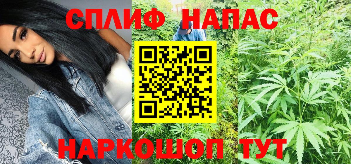 МАРИХУАНА сатива Пушкино